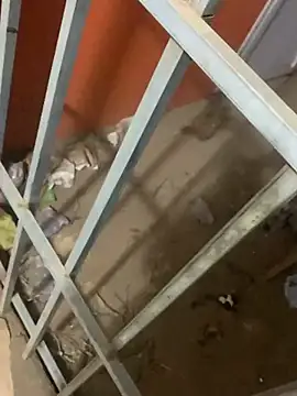 Black mamba madingo online show from 03.12.25