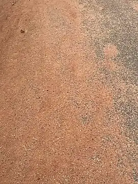 Black mamba madingo online show from 03.20.25