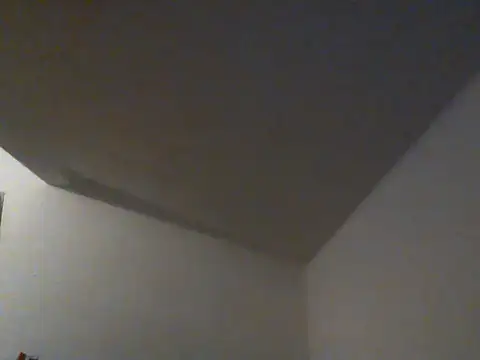 DefiniteTimor online show from 01.11.26