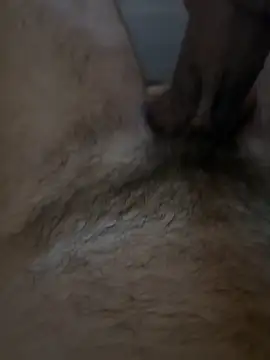 Snapshot of AimedTarheel chatting on 04.03.26 AimedTarheel online show from 04.03.26