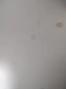 Snapshot of geilerschwanz64 chatting on 10.27.25 geilerschwanz64 online show from 10.27.25