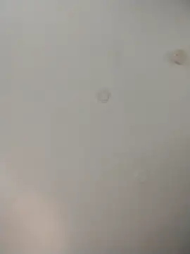 Snapshot of geilerschwanz64 chatting on 11.26.25 geilerschwanz64 online show from 11.26.25