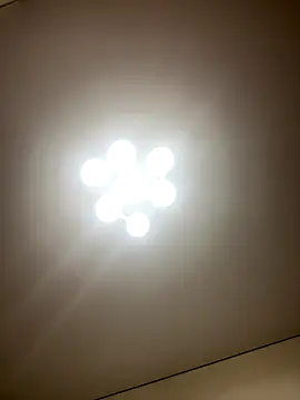 Janet Welder online show from 12.05.25