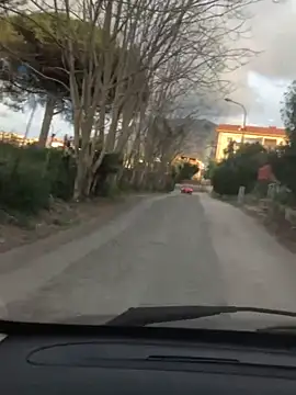 CrazyBoy95 online show from 03.16.26