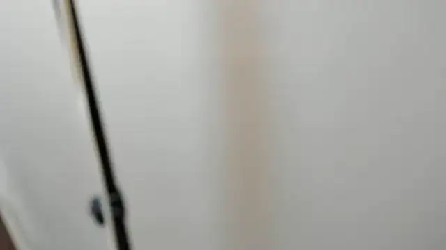 Alid 17 online show from 03.07.25