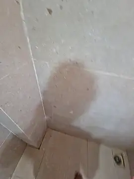 vivanpraj999 online show from 11.25.25