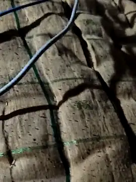 Snapshot of Kolkataboiy chatting on 10.02.25 Kolkataboiy online show from 10.02.25