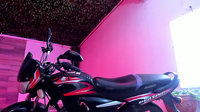 Snapshot of AkazaBoy_ chatting on 12.27.24 AkazaBoy  online show from 12.27.24