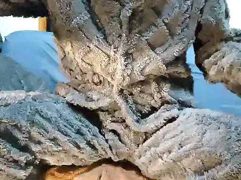 Snapshot of creamlive97 chatting on 12.30.24 creamlive97 online show from 12.30.24