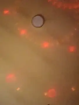 Ely Elenita online show from 03.07.25