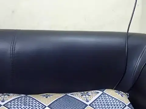 Snapshot of Indian_korean chatting on 12.21.24 Indian korean online show from 12.21.24