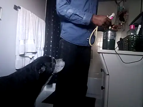 DevinToore online show from 10.31.25