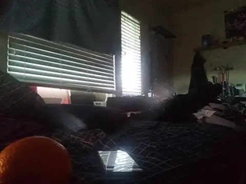 DevinToore online show from 02.24.26