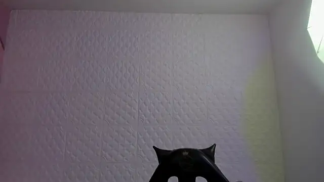 Violetaa diazz online show from 05.04.26