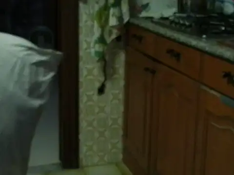 VeneRed online show from 10.27.25