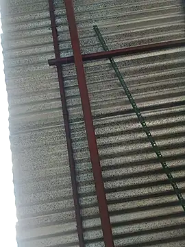 elputoflaco online show from 01.09.26