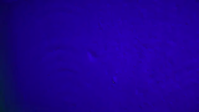 Snapshot of GymBoyVan chatting on 02.04.26 GymBoyVan online show from 02.04.26