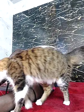 Snapshot of crislingery_dolli chatting on 10.12.25 crislingery dolli online show from 10.12.25