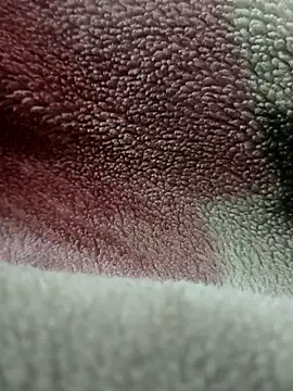 Anamika Kapoor online show from 11.27.25