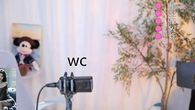 Snapshot of Arwyn-rr chatting on 12.23.24 Arwyn-rr online show from 12.23.24