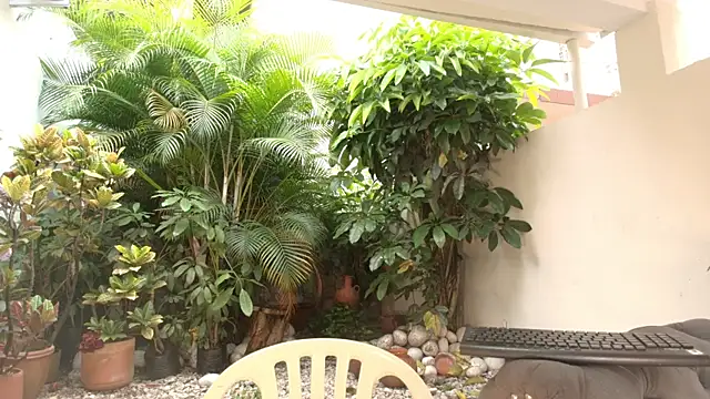 Snapshot of DannaDooll99 chatting on 10.12.25 DannaDooll99 online show from 10.12.25