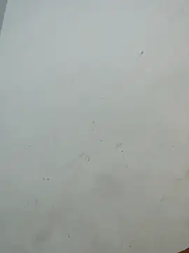 Sania-Love online show from 12.02.25