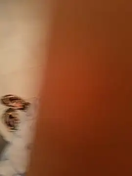 Aya germany online show from 02.11.25