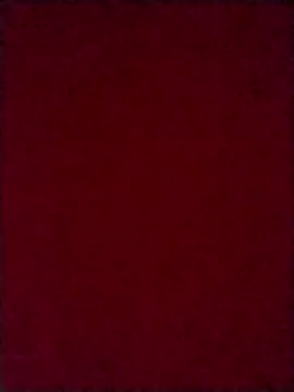 Snapshot of Luci_foxx chatting on 10.08.25 Luci foxx online show from 10.08.25