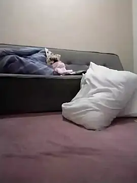 Luci foxx online show from 03.19.26