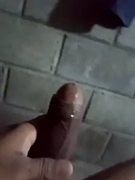 Snapshot of ga213333 chatting on 01.18.26 ga213333 online show from 01.18.26