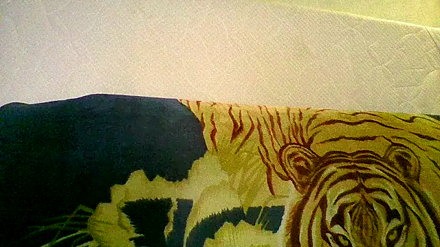 Snapshot of maritanna chatting on 12.29.24 maritanna online show from 12.29.24