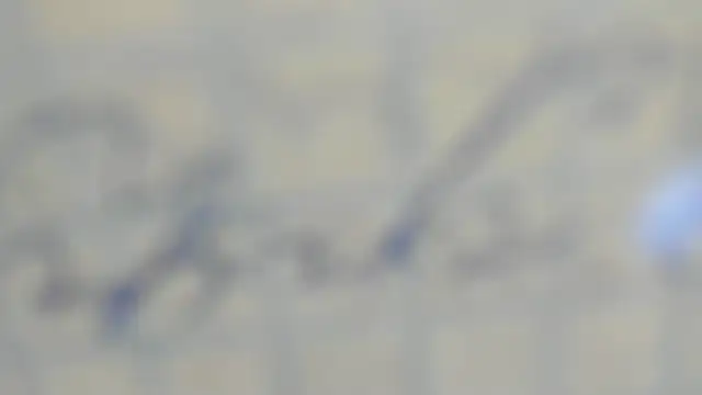 elis gabbi online show from 09.09.25