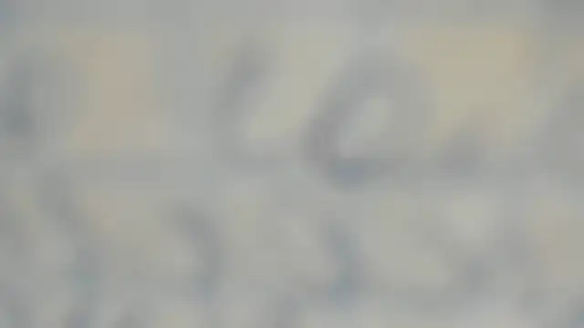 elis gabbi online show from 09.12.25