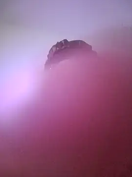 giuliana andrade online show from 01.22.25