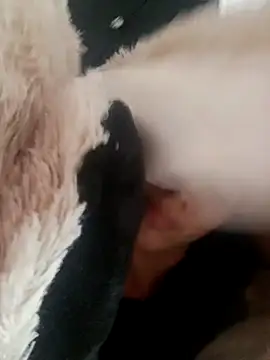 giuliana andrade online show from 02.19.25