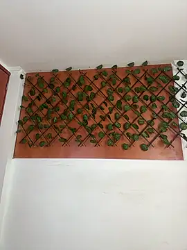 Emily Trujillo online show from 11.08.25