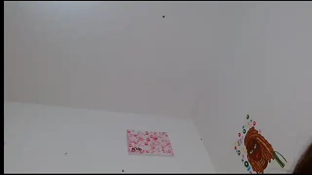 Snapshot of kity__ chatting on 02.24.25 kity online show from 02.24.25