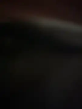 Snapshot of Jan_berger chatting on 01.20.25 Jan berger online show from 01.20.25