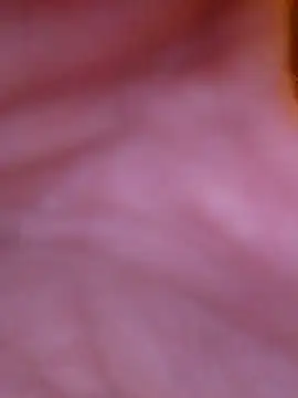 Snapshot of Freddyking146f chatting on 11.30.25 Freddyking146f online show from 11.30.25