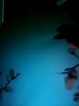 Snapshot of gunjan22 chatting on 12.31.24 gunjan22 online show from 12.31.24