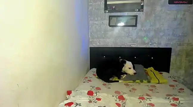 danna sofiah online show from 02.18.25