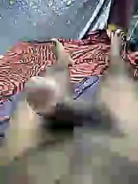 mallucallboy2104 online show from 12.30.24