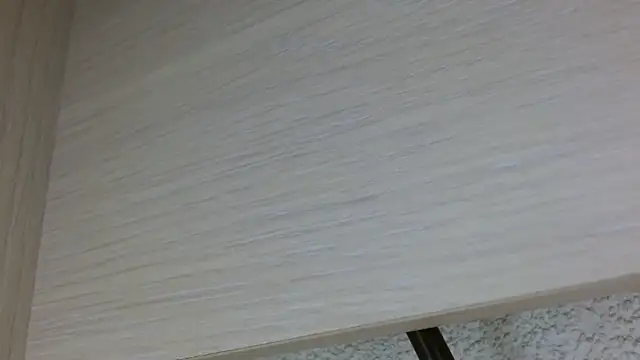 Snapshot of nass21cmm chatting on 02.22.26 nass21cmm online show from 02.22.26