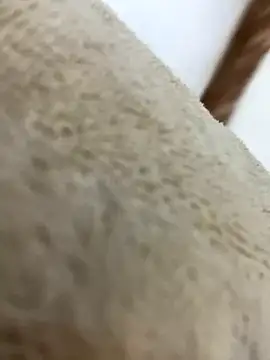 Snapshot of mjnas chatting on 12.04.24 mjnas online show from 12.04.24