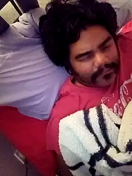 Snapshot of Brickstash chatting on 10.04.25 Brickstash online show from 10.04.25