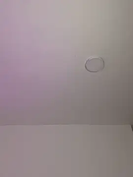 Snapshot of Eli818 chatting on 12.04.24 Eli818 online show from 12.04.24