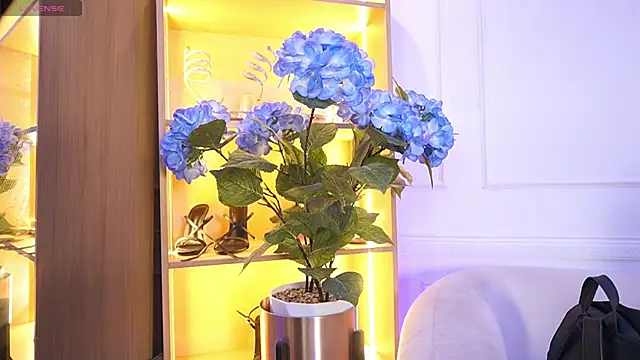 elasummer online show from 12.20.25