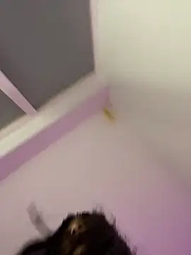 Snapshot of bonnie_18x chatting on 02.26.25 bonnie 18x online show from 02.26.25