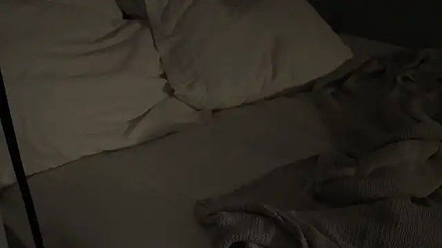 Snapshot of Dylansd chatting on 12.28.24 Dylansd online show from 12.28.24