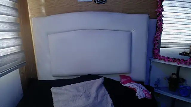 palmer mIix online show from 12.19.24